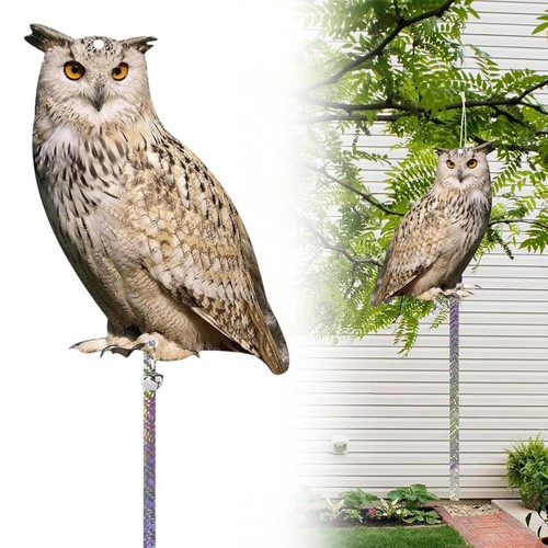Lifelike owl decoy statue - decoy, bird
