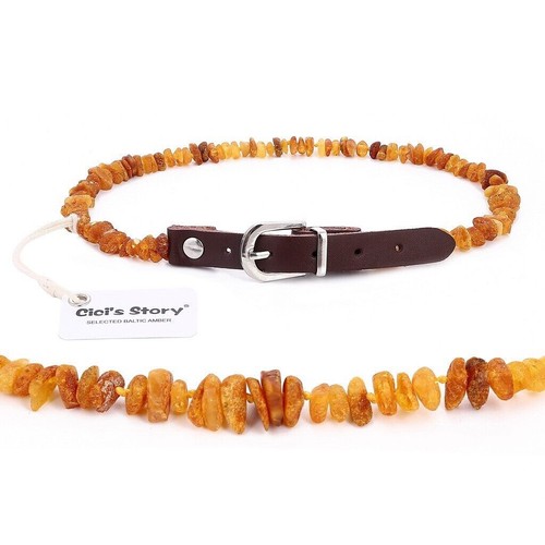 Amber collar for dogs and - dogs, cats