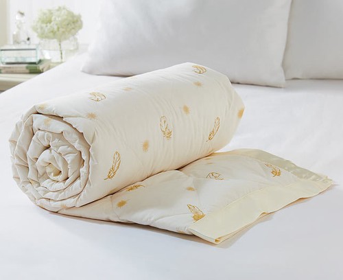 Exclusive luxury duck - duck, &