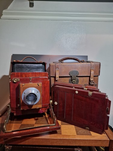Thornton pickard royal ruby - thornton,