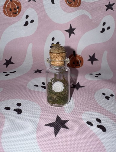 White snail shell mini - white,