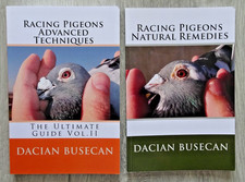Racing Pigeon Dacian Busecan