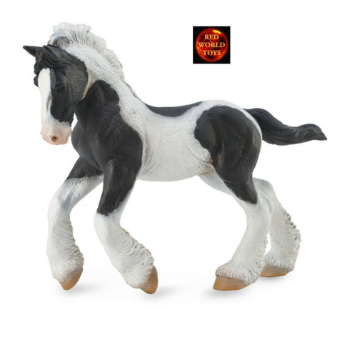 Gypsy foal black white piebald - black,