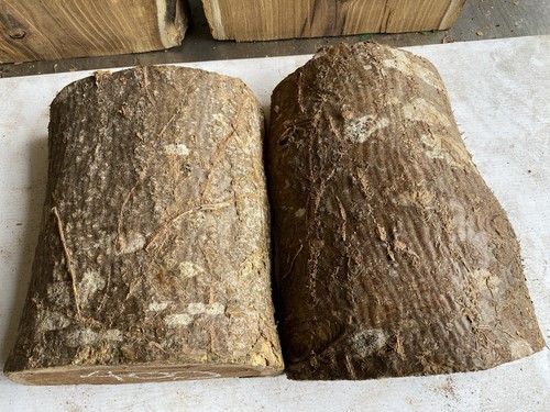 Laburnum wood - laburnum, wood,x2,laburnum