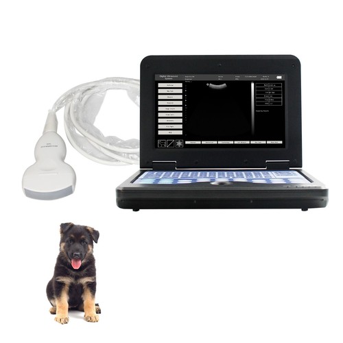 Portable vet veterinary - portable,