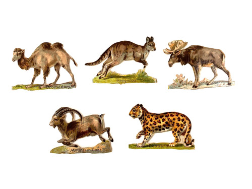 Victorian die cut - victorian,