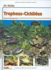 Tropheus-Cichliden, Ihr Hobby by Frank Schneidewind | Book | condition good