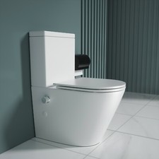 Durovin Bathrooms Close Coupled Toilet with Bidet All in One Back to Wall Toilet