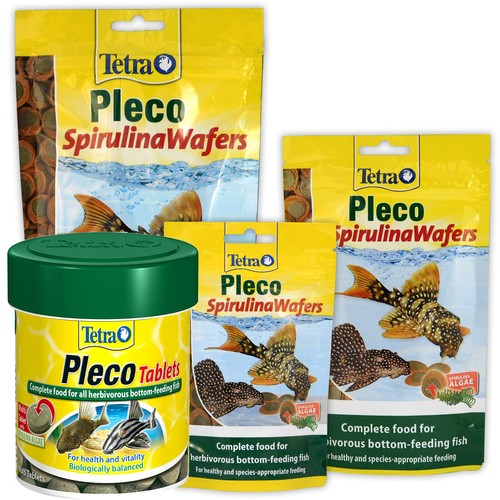 Tetra pleco bottom - tetra,