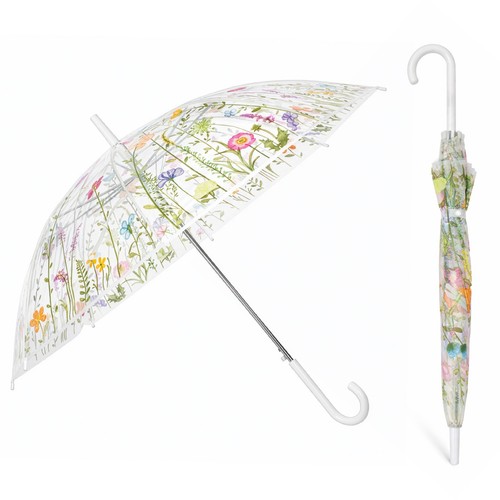 Pack clear dome - dome, umbrella