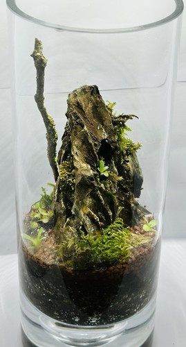 Large desktop glass - large,