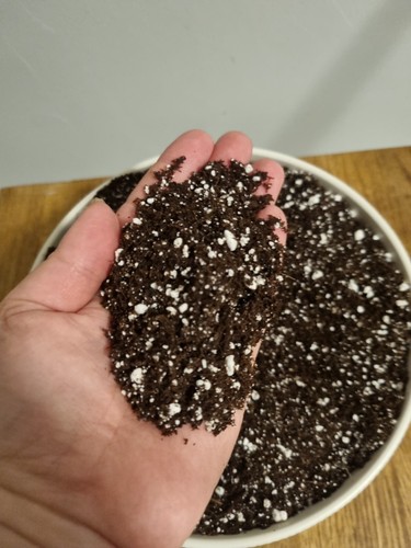 Organic house plant - house, compost