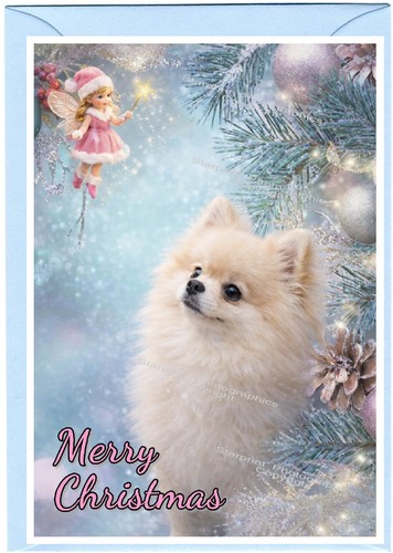 Pomeranian dog - pomeranian,