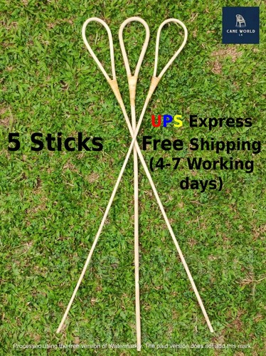 5pc rattan cane scholastic - 5pc,