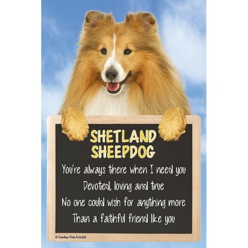 Sheltie dog sign shetland - dog,