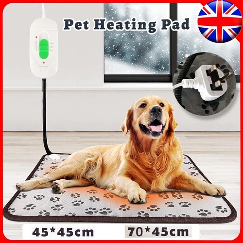 Pet heating pad - heating, cat