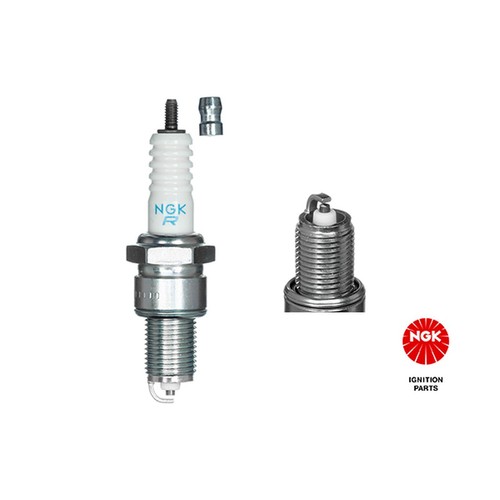 Spark plug 7822 ngk - (single),