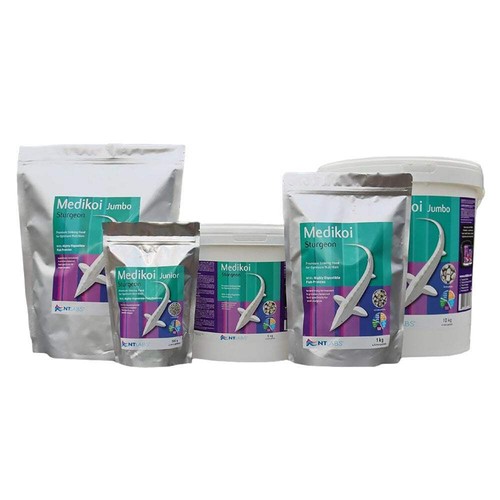 Labs medikoi sturgeon fish - labs,