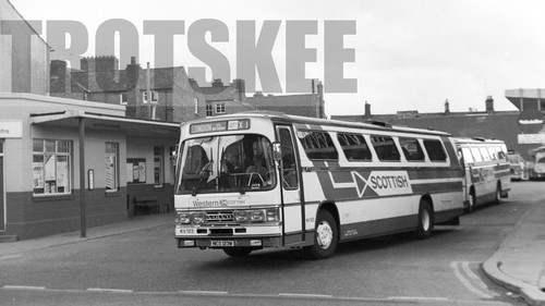 35mm black and white negative - white,