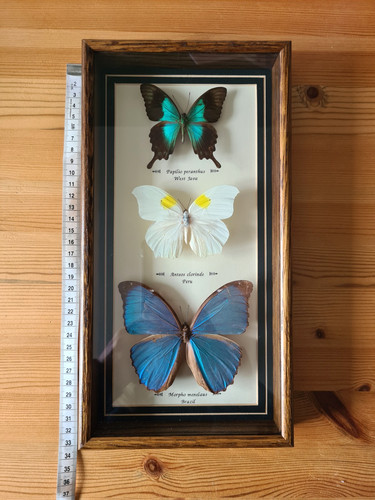 Vintage set framed - 3,