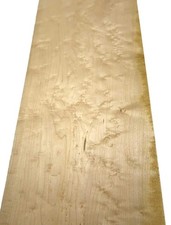 1X Bird's Eye Maple Wood