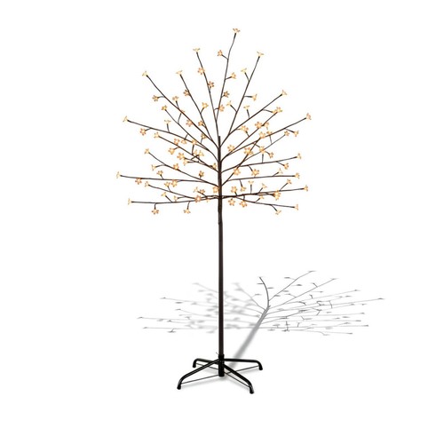 Cherry blossom tree - blossom, 1.5m