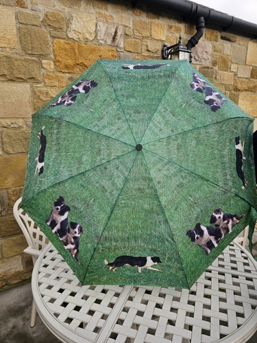 Border collie umbrella - border,