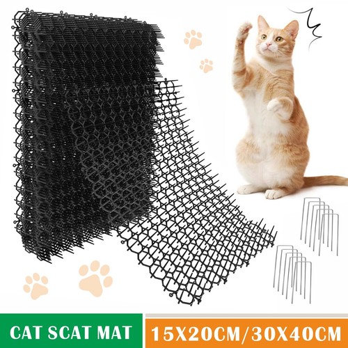 20pcs cat scat - 10-20pcs,