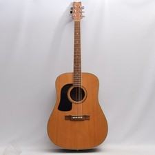Washburn D10SLH Dreadnought