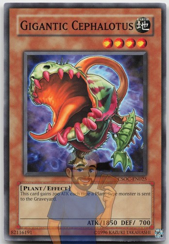 Gigantic cephalotus csoc en025 - gigantic, csoc-en025