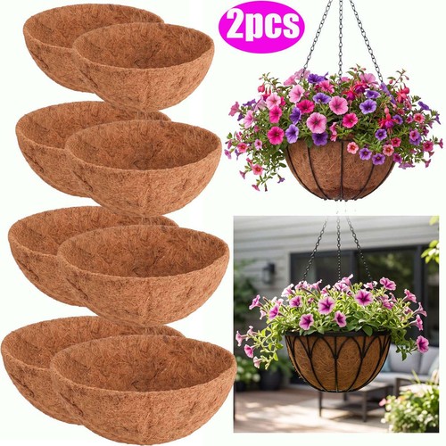 2pcs round replacement - replacement, plant
