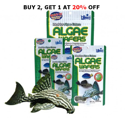 Hikari algae wafers 20g 40g - algae,