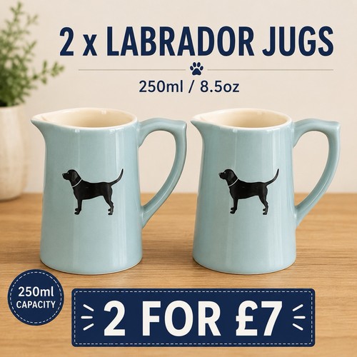 Brand new milk jugs - brand,