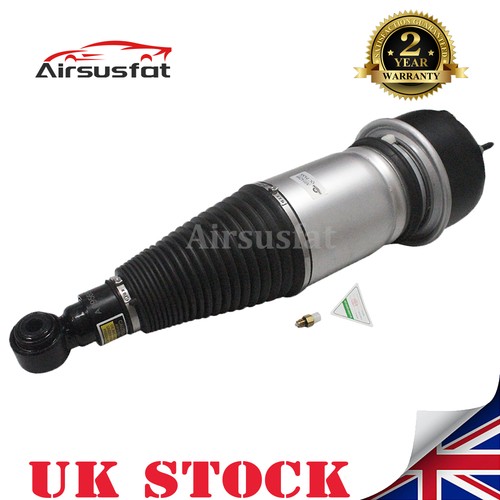 Rear air suspension shock - rear,