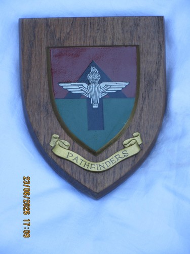 Regiment plaque pathfinders - regiment,