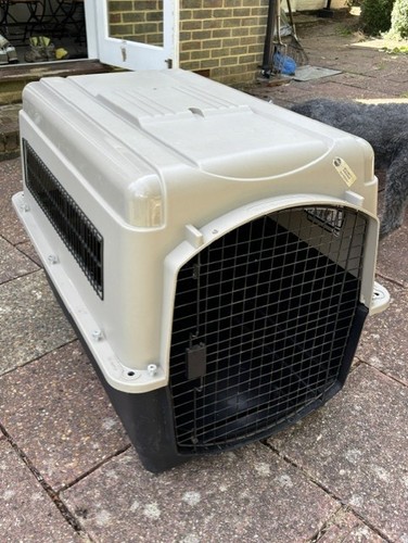 Iata approved dog - iata,