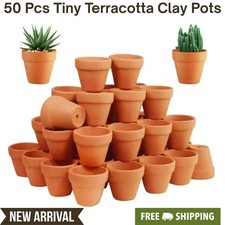 50PCS Mini Terracotta Clay