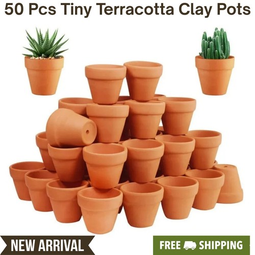 50pcs mini terracotta clay - terracotta,