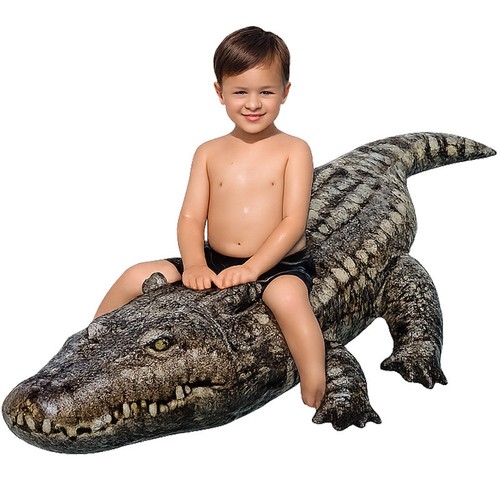 Giant inflatable ride - giant, on