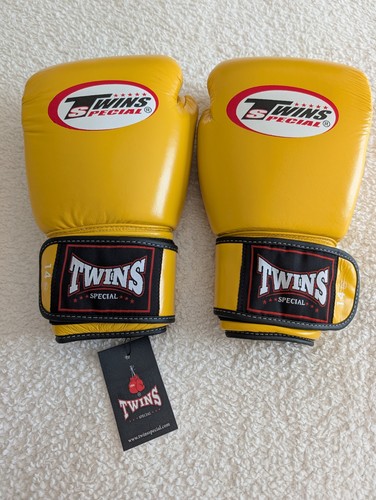 Twins special muay - muay, thai