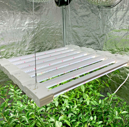 Led grow light full spectrum - full,