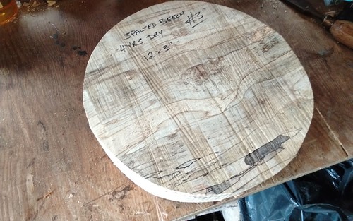 Spalted beech bowl blank wood - spalted,