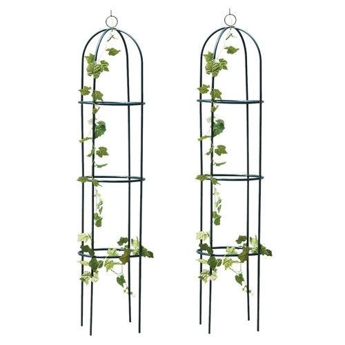 Garden obelisk climbing - garden,