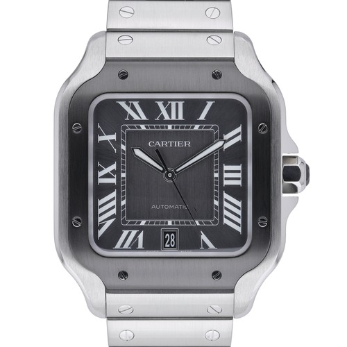 Cartier santos - santos,