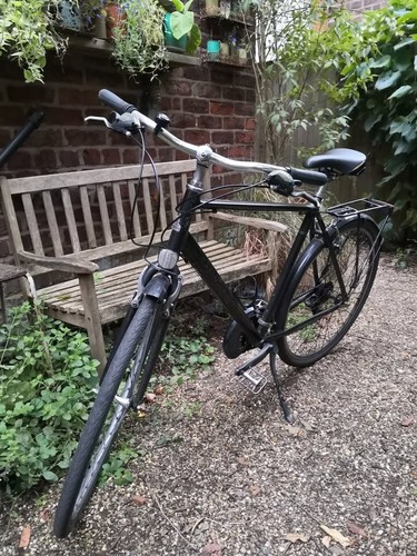 Raleigh pioneer good working - pioneer,,
