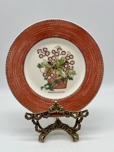 Vintage wedgewood queensware - vintage,