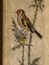 Goldfinch Botanical Bird Print