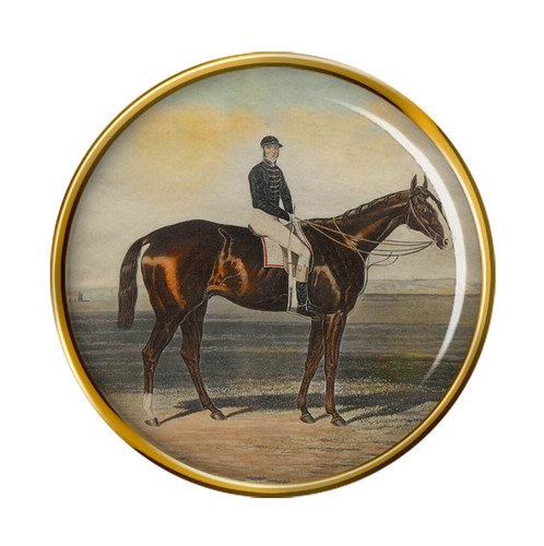 Racehorse meteor pin - pin, badge