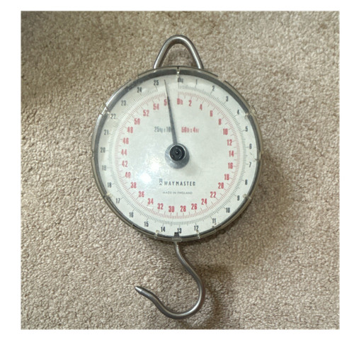 Waymaster hanging scale spring - scale,
