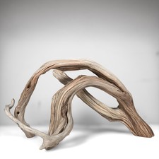 21.5" Manzanita Driftwood
